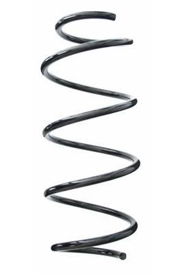 GKN-Spidan 85739 Suspension spring front 85739