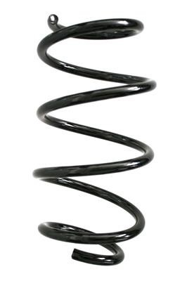 GKN-Spidan 86787 Suspension spring front 86787