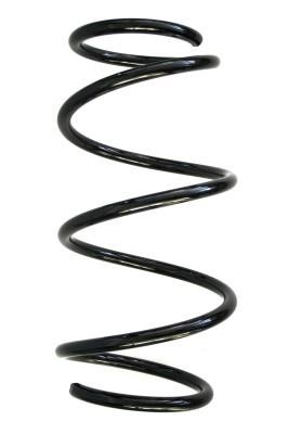 GKN-Spidan 86814 Suspension spring front 86814