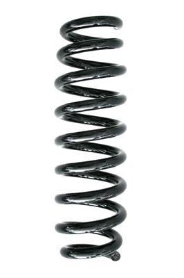 GKN-Spidan 87186 Coil Spring 87186