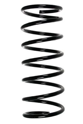 GKN-Spidan 87461 Suspension spring front 87461