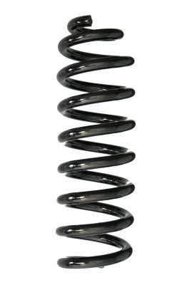 GKN-Spidan 88039 Coil Spring 88039