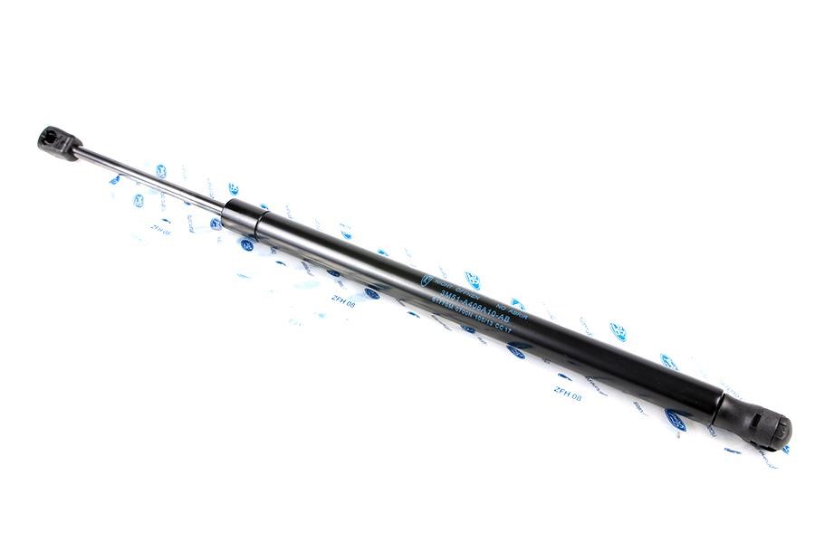 Shock absorber assy Ford 1 313 218