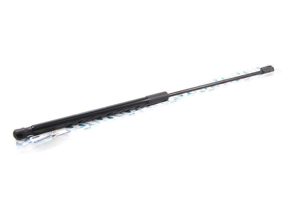 Shock absorber assy Ford 1 683 269