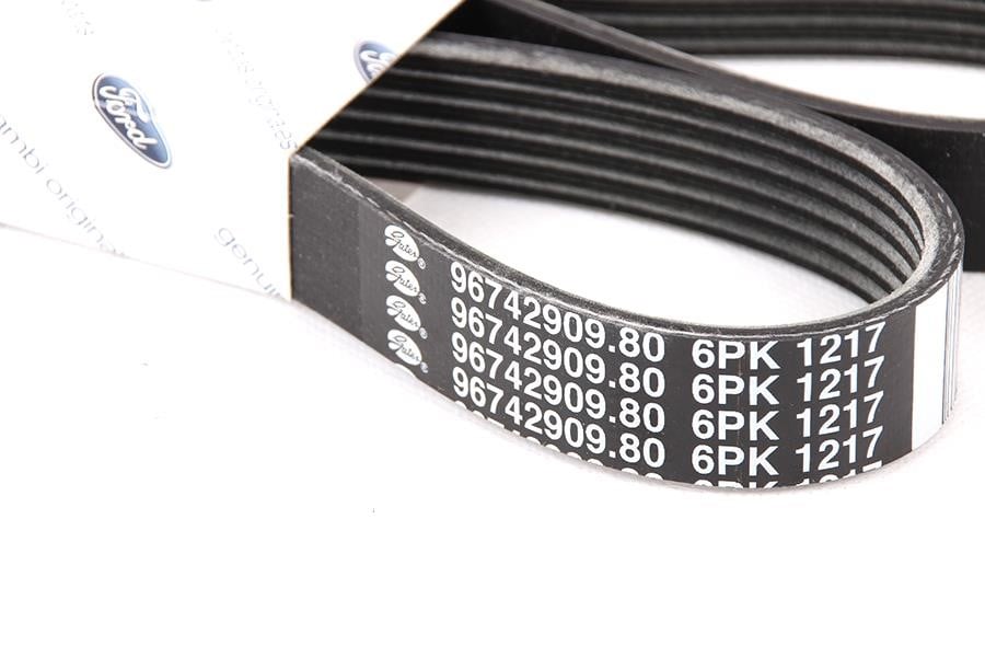 1702537 Ford V-Belt