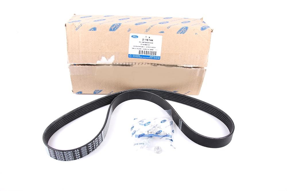 Tmg belt Ford 2 115 144