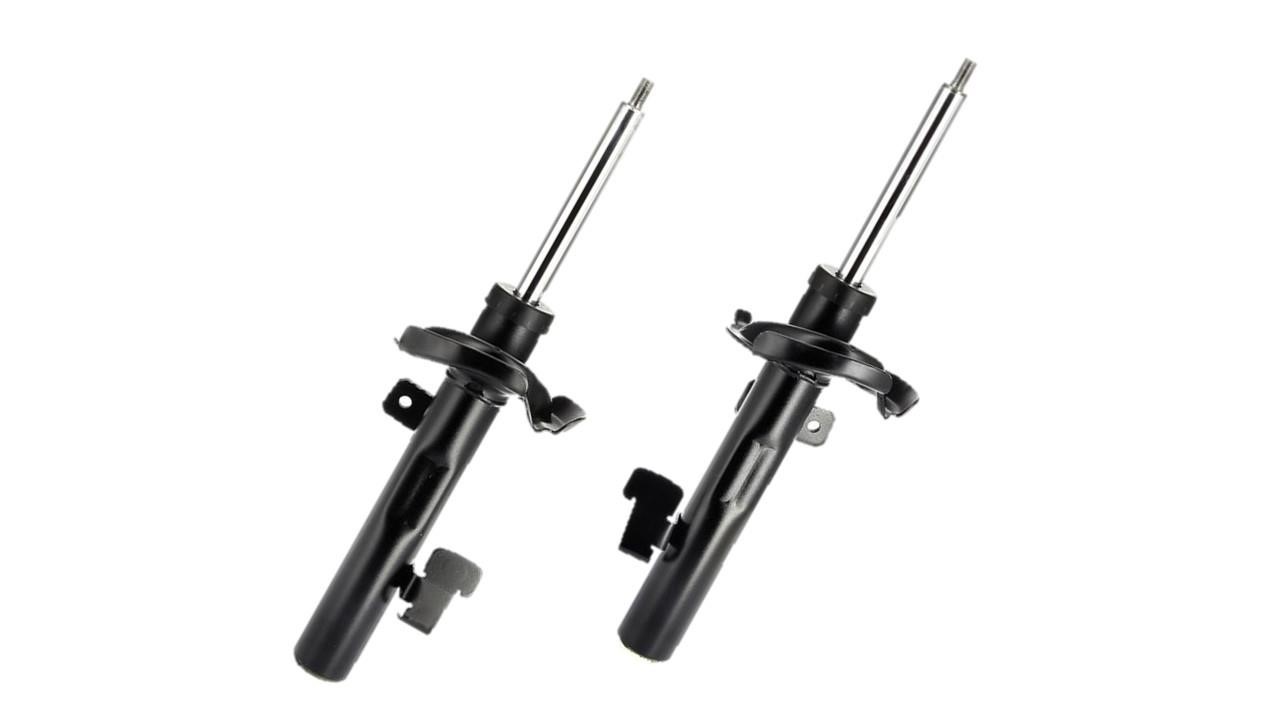 StarLine TL C00396/7 A set of front gas-oil shock absorbers (price for 1 unit) TLC003967