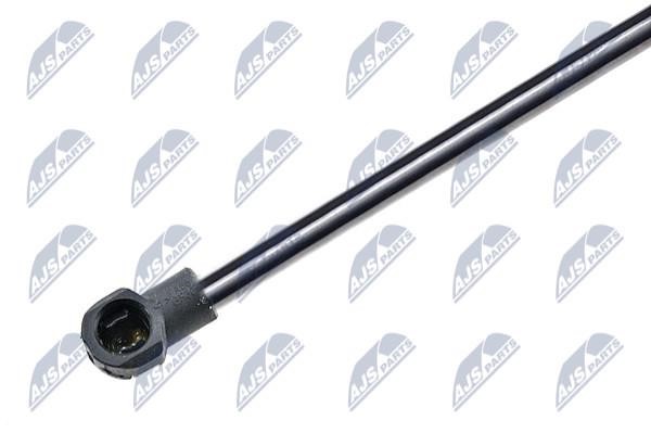 Tailgate strut NTY AE-AR-008