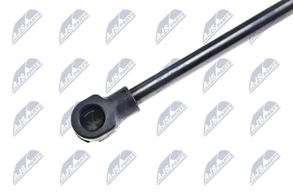 Tailgate strut NTY AE-AR-010