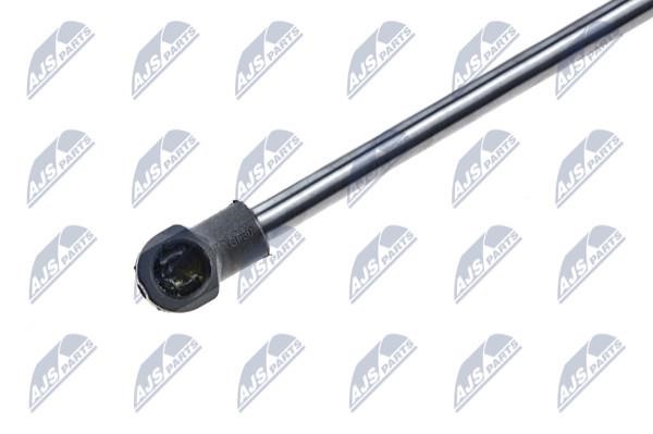 Tailgate strut NTY AE-AR-012