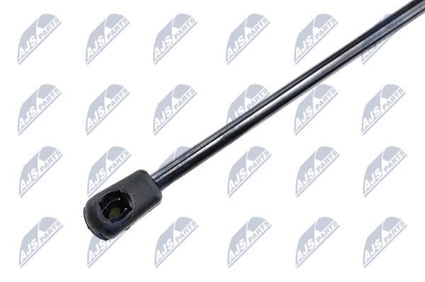 Tailgate strut NTY AE-AR-014