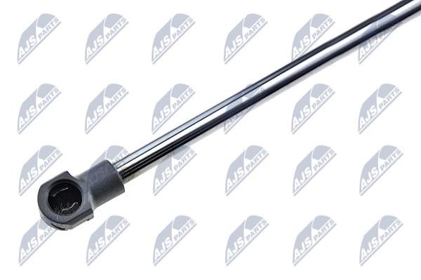 Tailgate strut NTY AE-AR-015