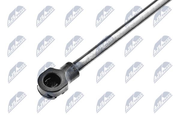 Tailgate strut NTY AE-AR-019