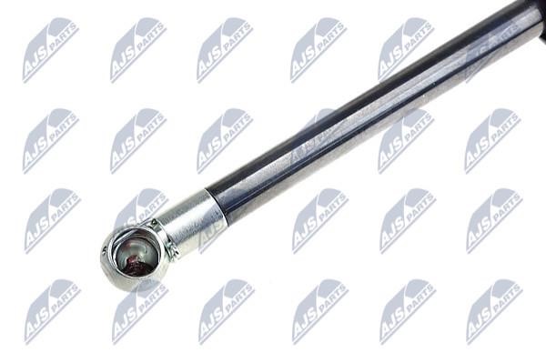 Tailgate strut NTY AE-AR-020