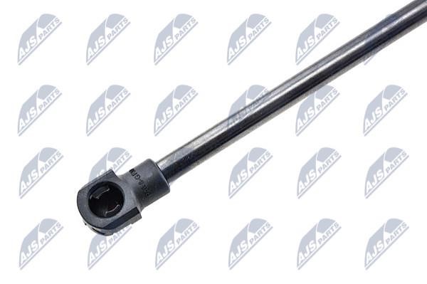 Tailgate strut NTY AE-AR-022