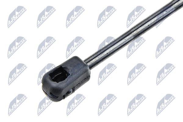 Tailgate strut NTY AE-AU-003