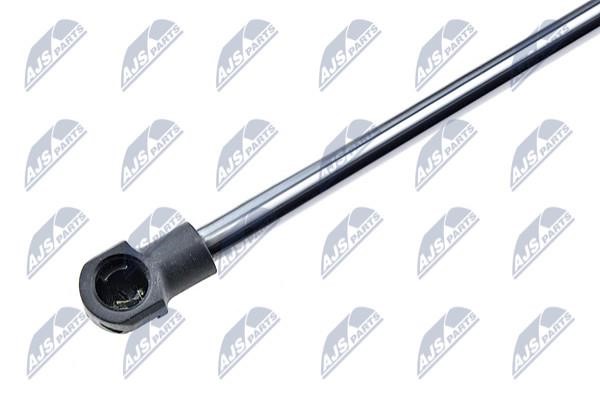 Tailgate strut NTY AE-AU-004