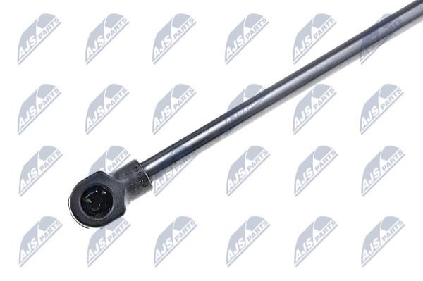 Tailgate strut NTY AE-AU-005