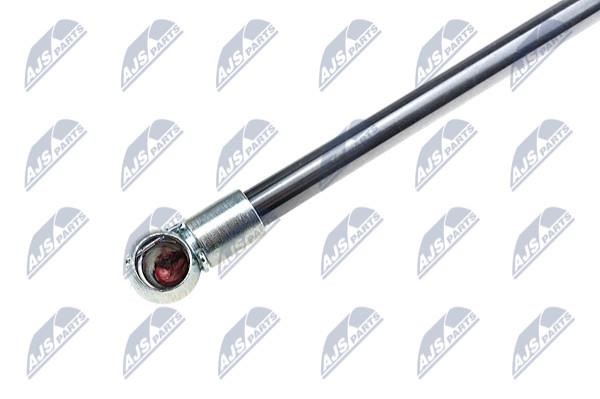 Tailgate strut NTY AE-AU-007