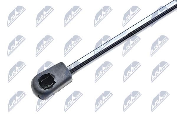 Tailgate strut NTY AE-AU-008