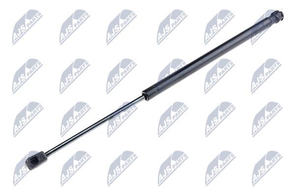 NTY AE-AU-016 Tailgate strut AEAU016 AEAU016 NTY Tailgate strut