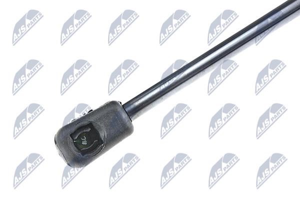 Tailgate strut NTY AE-AU-016