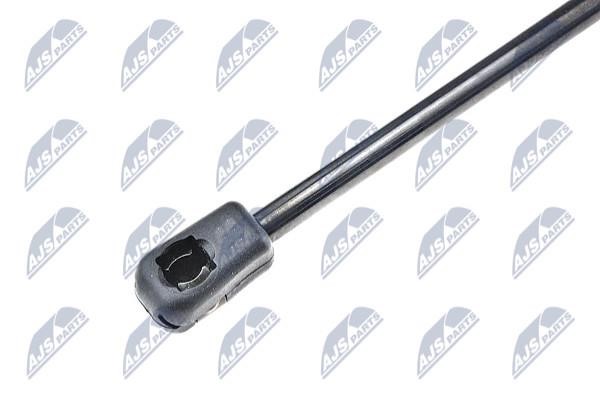 Tailgate strut NTY AE-AU-023