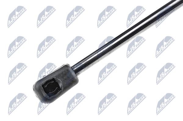 Tailgate strut NTY AE-AU-025