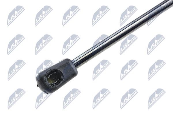 Tailgate strut NTY AE-AU-026