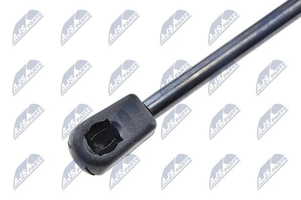 Tailgate strut NTY AE-AU-030