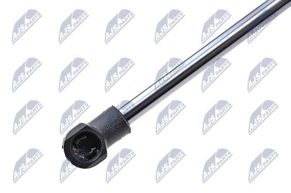 Tailgate strut NTY AE-AU-039