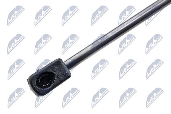 Tailgate strut NTY AE-AU-041