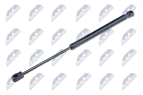 AEAU046 NTY Hood shock absorber