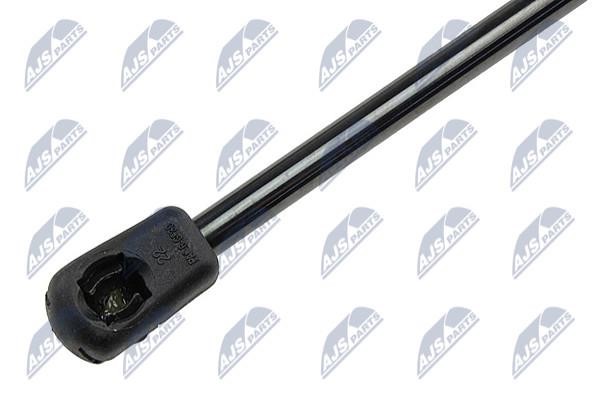 Tailgate strut NTY AE-AU-048