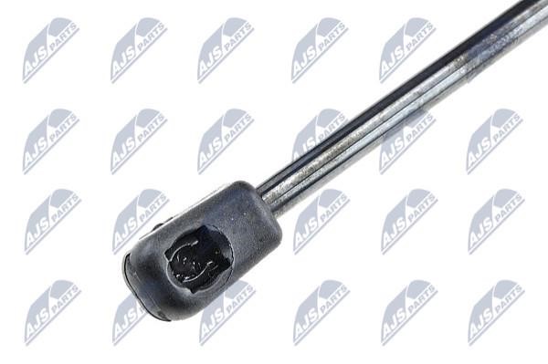 Tailgate strut NTY AE-AU-053