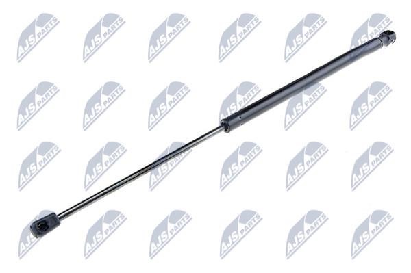 AEAU054 NTY Tailgate strut