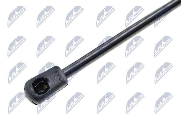 Tailgate strut NTY AE-AU-058