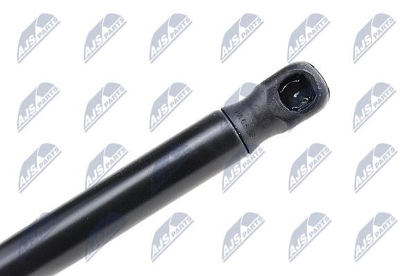 Hood shock absorber NTY AE-AU-062