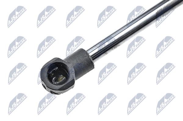 Tailgate strut NTY AE-AU-063