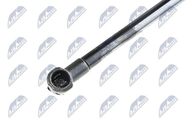Tailgate strut NTY AE-AU-064
