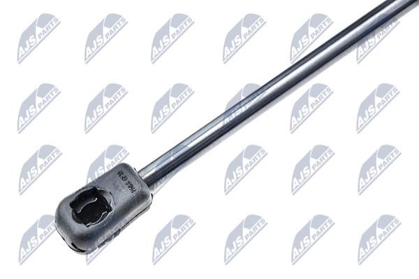 Tailgate strut NTY AE-AU-066