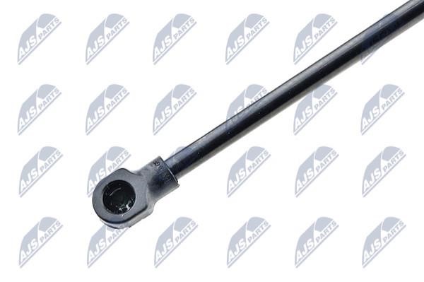 Hood shock absorber NTY AE-AU-076