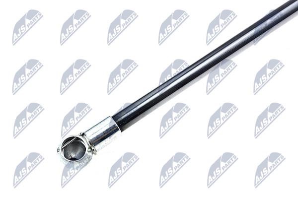 Tailgate strut NTY AE-BM-003