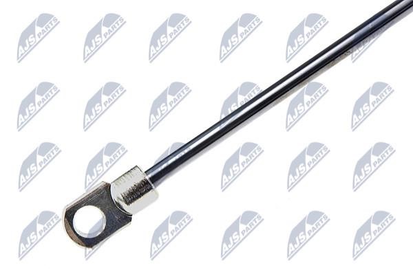 Hood shock absorber NTY AE-BM-005