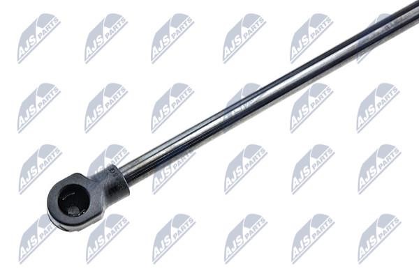 Tailgate strut NTY AE-BM-011