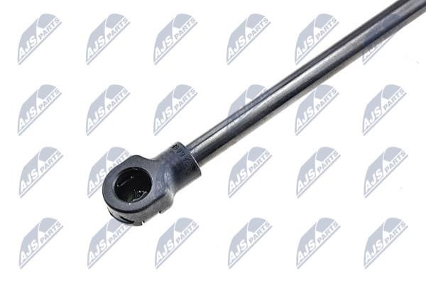 Tailgate strut NTY AE-BM-016