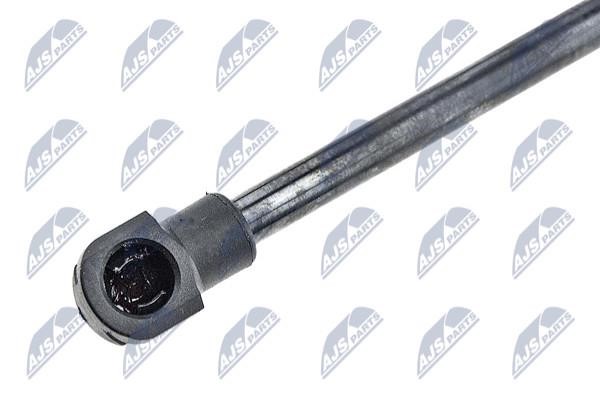 Tailgate strut NTY AE-BM-018