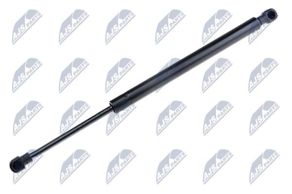 NTY AE-BM-019 Tailgate strut AEBM019 AEBM019 NTY Tailgate strut