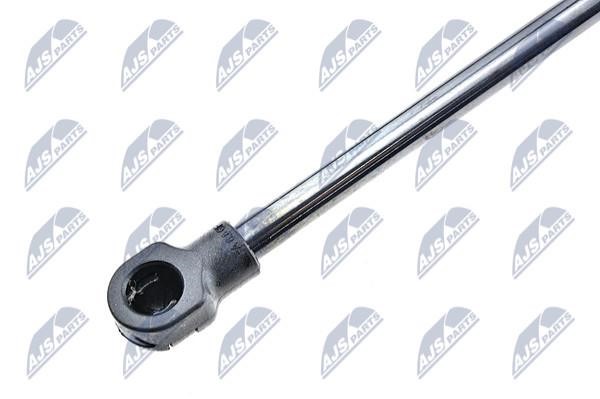 Tailgate strut NTY AE-BM-023