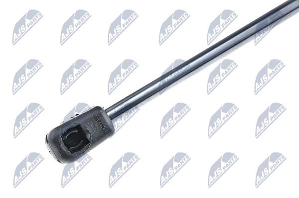 Hood shock absorber NTY AE-BM-024